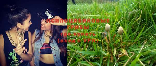 прущий лед Валдай