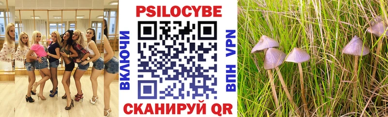Псилоцибиновые грибы Psilocybe  Купить  Мезень 