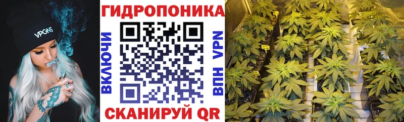 Каннабис семена  Купить где  Мезень 